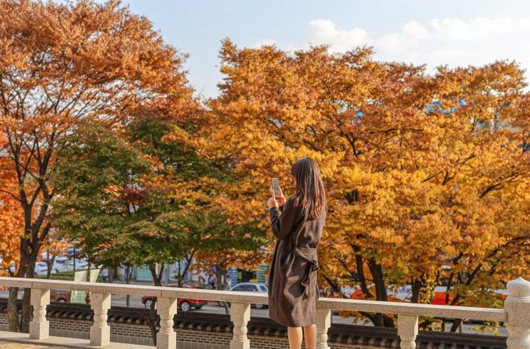 인천나들이 인천향교 인천도호부관아 인천여행 아이와...