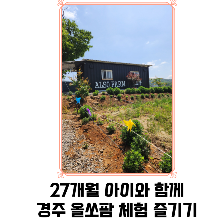 경주 올쏘팜에서 27개월 아이와 함께 체험 즐기기