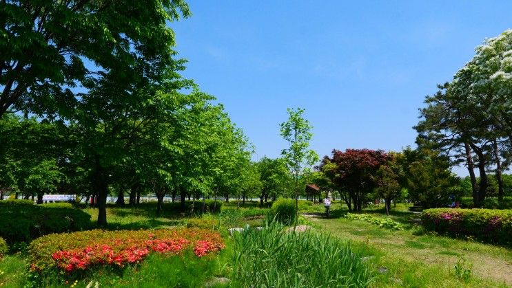 2023년 구리 한강시민공원 유채꽃 축제 한강예술제