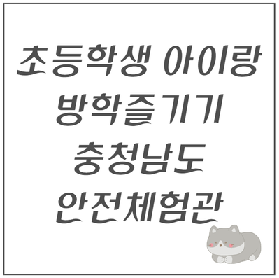 천안 초등학생 아이랑 놀만한 곳 : 충청남도안전체험관 완전 강추