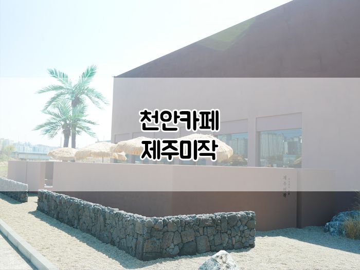 [천안카페] 신방동에서 느끼는 제주 감성을 가득 담은 구공카페 :: 제주미작