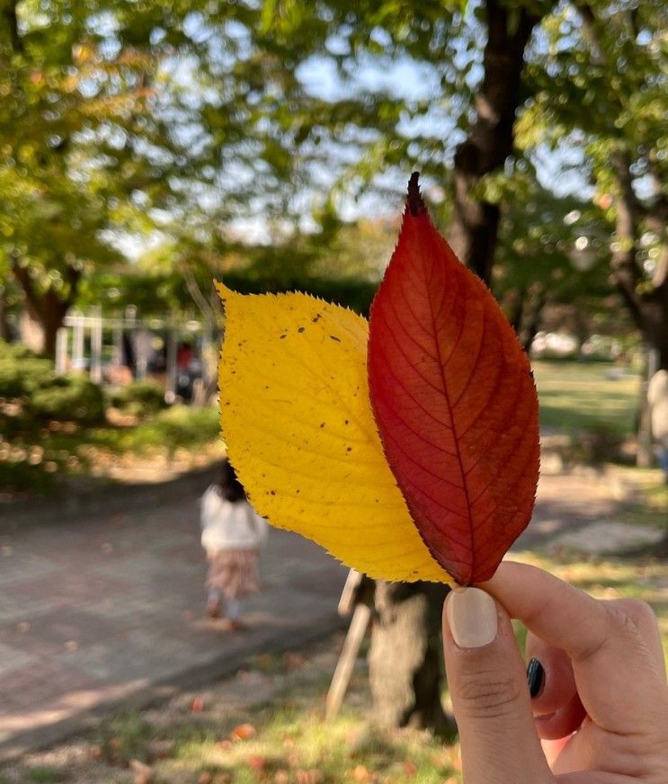 아이랑 삼청동 코스 ,  정담은보쌈 - 서울교육박물관 - 테라로사커피