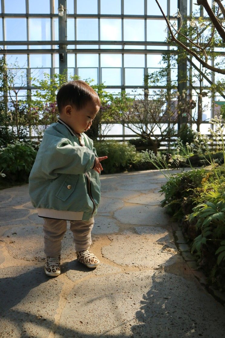 화성시 아이와 가볼만한 곳, 우리꽃 식물원(매주 월요일 휴무)