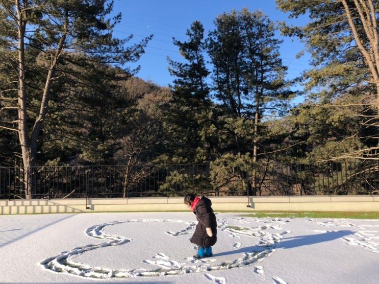 설연휴에 다녀온 동두천 자연휴양림 숲속의 집 단층