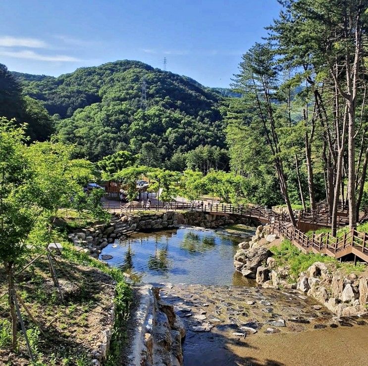 서울 근교 경기도 계곡 동두천 자연휴양림 오토캠핑장 숙소