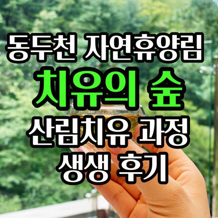 동두천 자연휴양림 치유의 숲 산림치유 족욕 및 힐링 숲 체험 후기