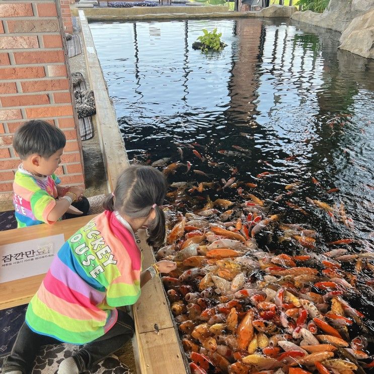 용인 리프플레이스 동물먹이주기체험 곤충체험 가능한 카페 아이와 가볼만한곳