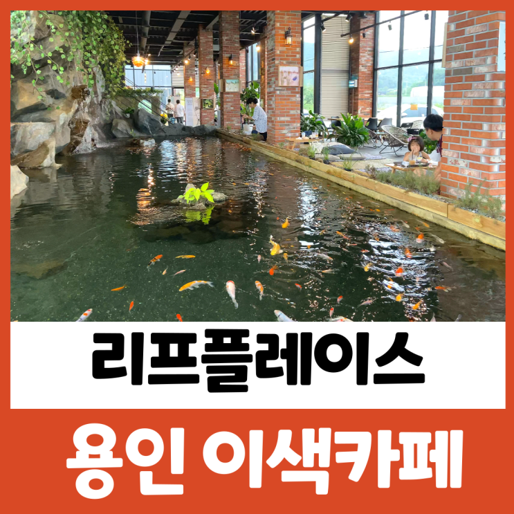 용인 카페 리프플레이스 아이와함께 곤충카페