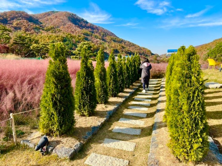 음성군 유리원 봉학골 저수지가 보이는 카페