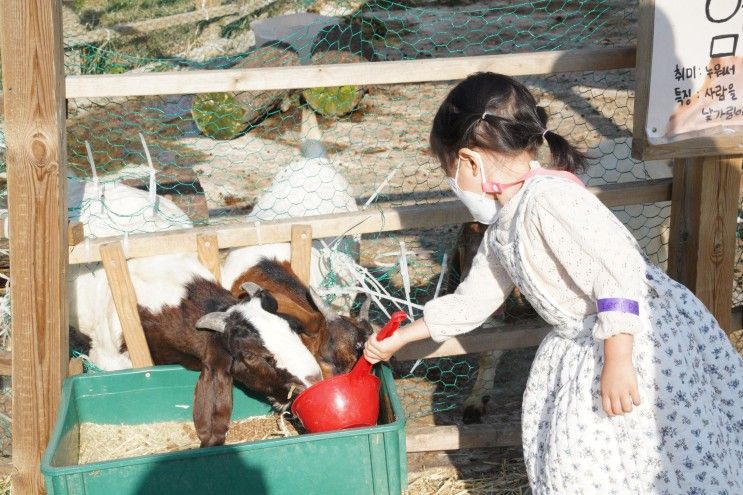 용인 리프플레이스 카페 아이와 데이트 코스까지