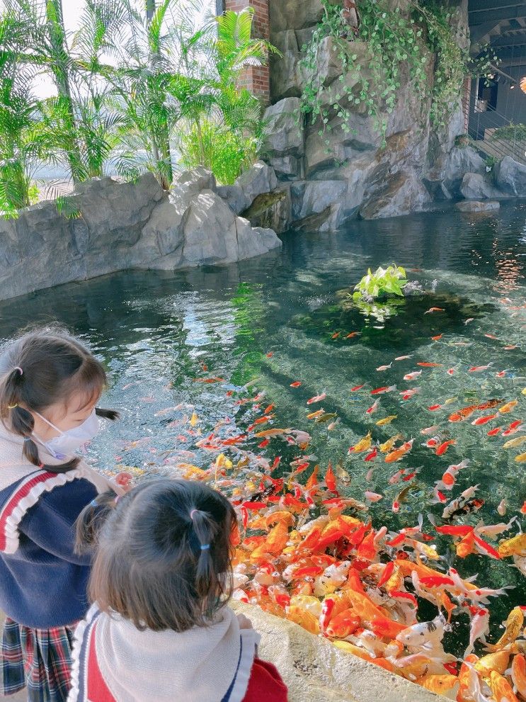 용인 리프플레이스 물고기 동물 먹이주기 아이와 가볼만한곳