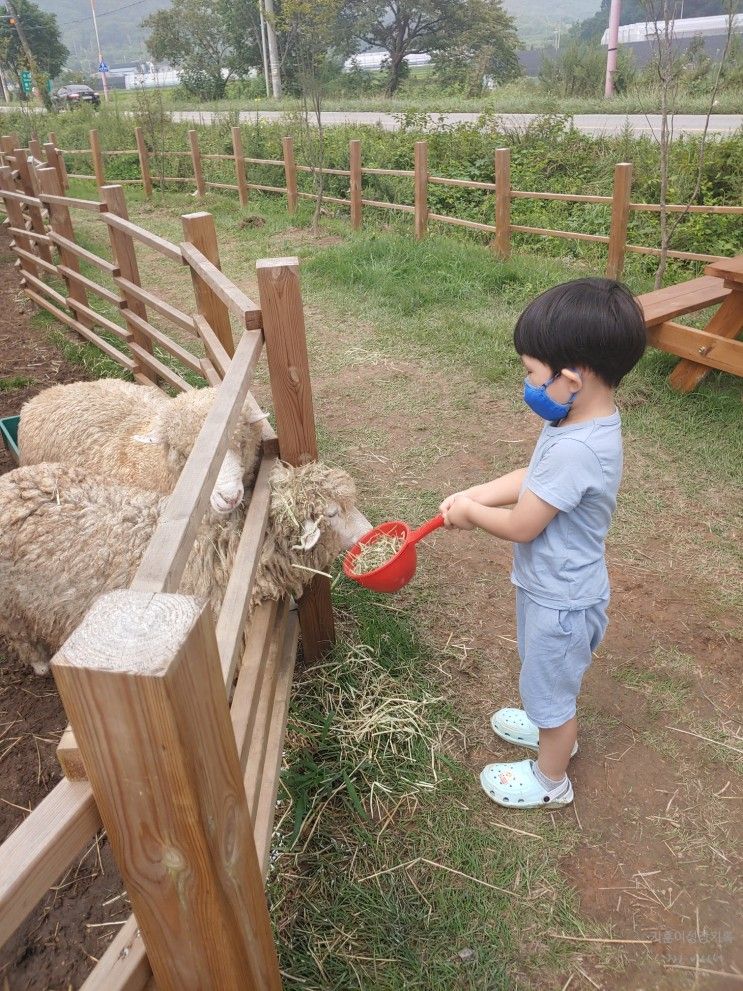 아이와 가볼 만한 곳 용인 리프플레이스 카페