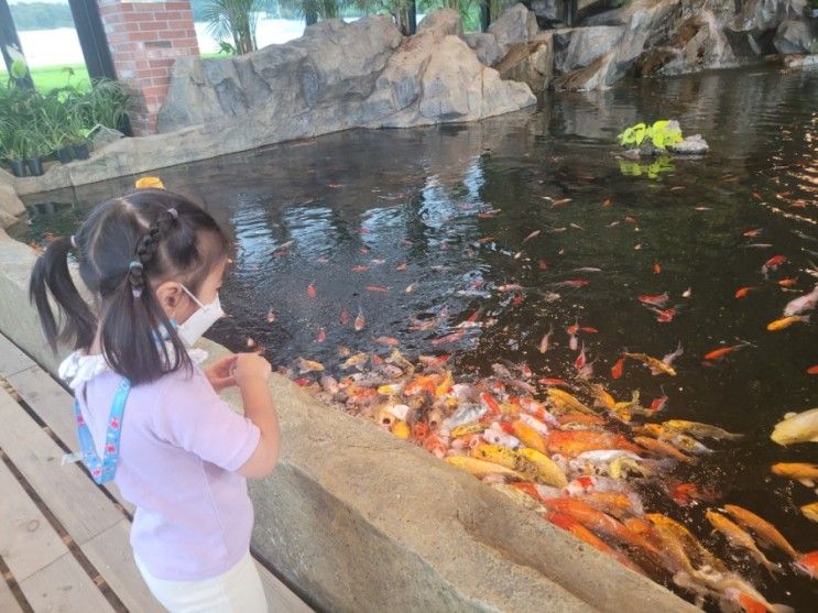 용인 리프플레이스) 아이와 갈만한 카페