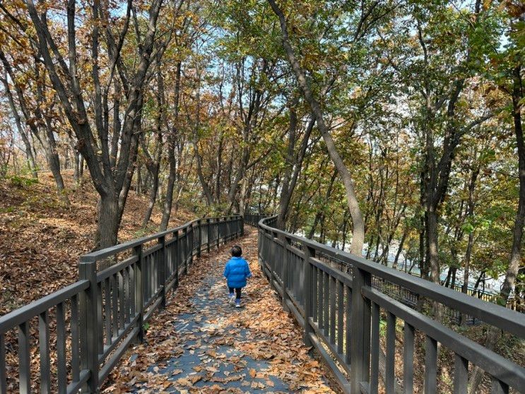 양주 무료 산책로 1) 고읍도서관 뒤쪽 하늘물 유아숲체험원