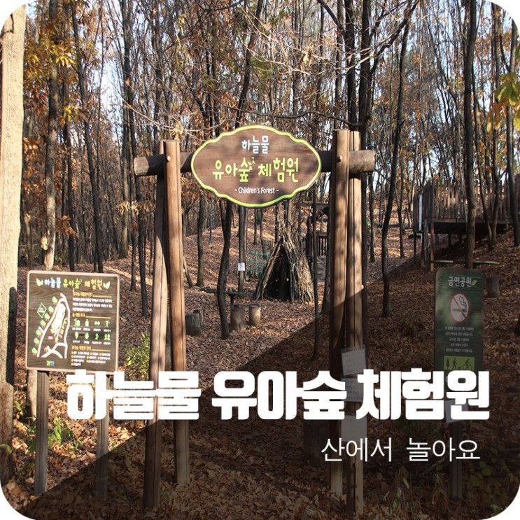 양주 고읍 하늘물 유아숲 체험원♪