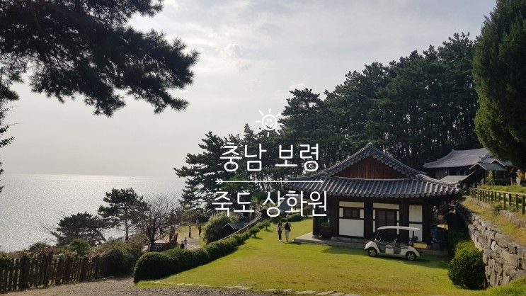 충남 보령 죽도 상화원 가을 산책 여행지