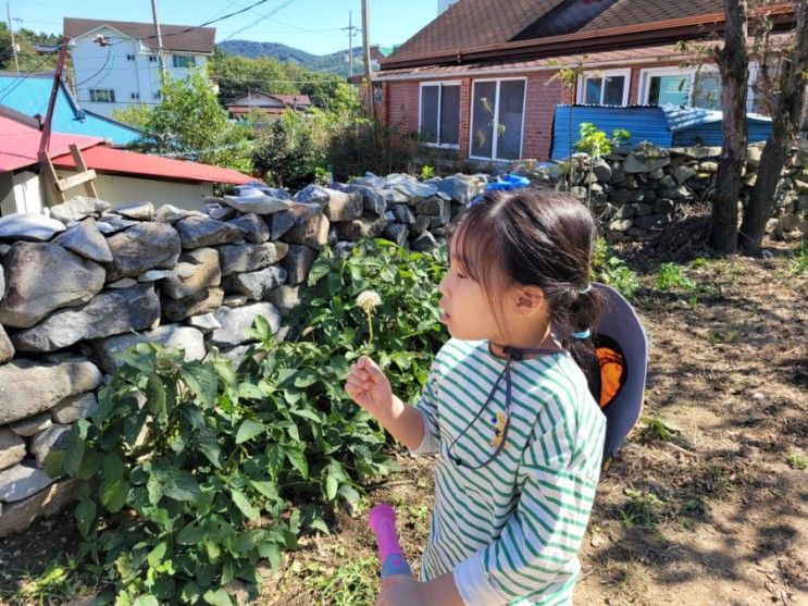 [먹자 여행] 보령시 명소, 상화원 죽도 횟감-시골 휴식 여행