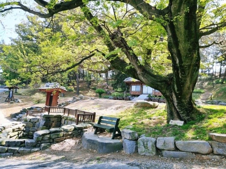 충남 보령 가볼만한곳 죽도 상화원 산책로