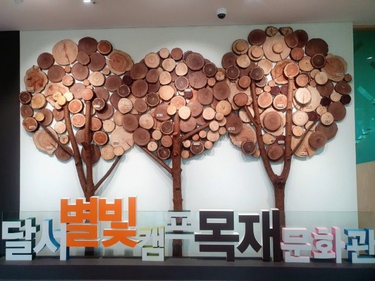 아이와 함께 가볼만한곳 대구 달서목재문화관 나무상상놀이터🌳💚