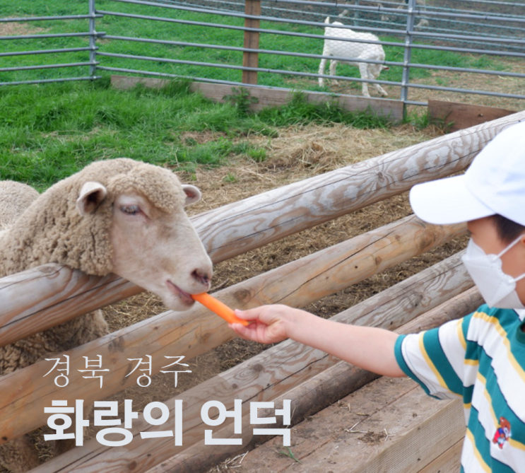 경주가볼만한곳 화랑의언덕 당일치기여행 아이와 함께 추억쌓기, 여름날의 추억💚💚