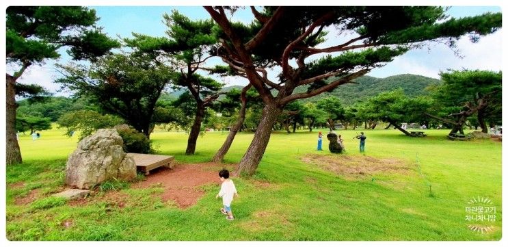 경주 화랑의 언덕 아이와 가을에 가볼 만한 곳!