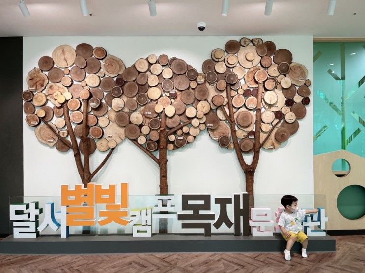 달서목재문화관 : 아이랑 가기 좋은 나무상상놀이터
