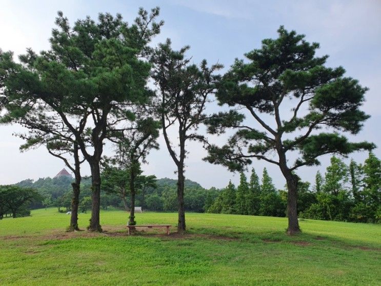 드라이브하기좋은곳,          데이트하기좋은곳        경주 화랑의 언덕