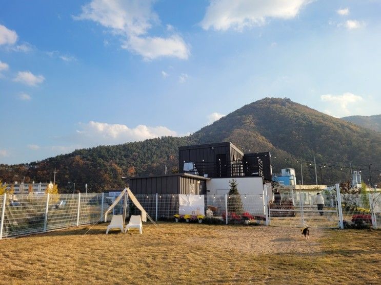 경주펜션 반려동물과 떠나기 좋은 숙소와 화랑의언덕