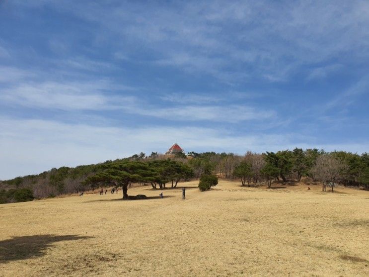 경주 화랑의언덕 가보니 시원하다