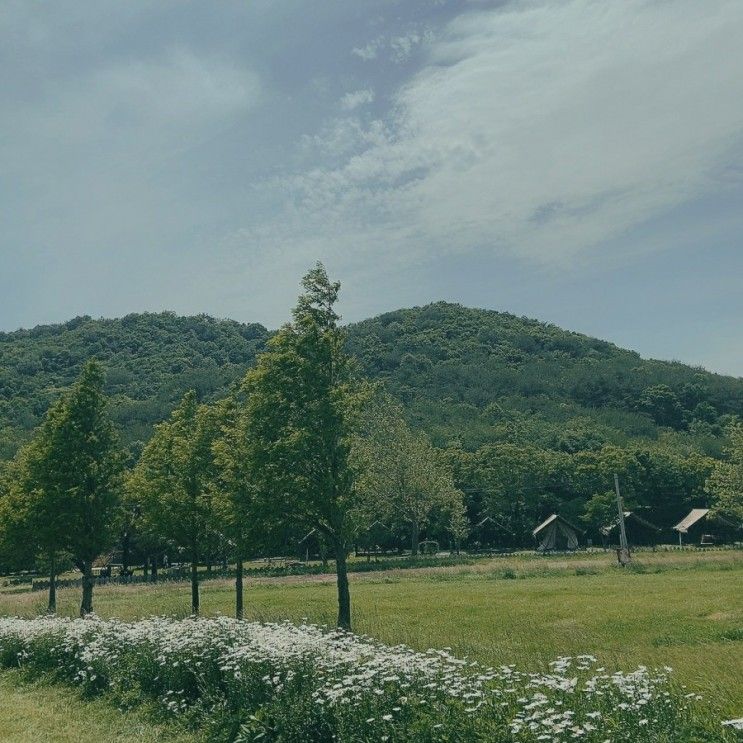 (경북 경주)화랑의 언덕