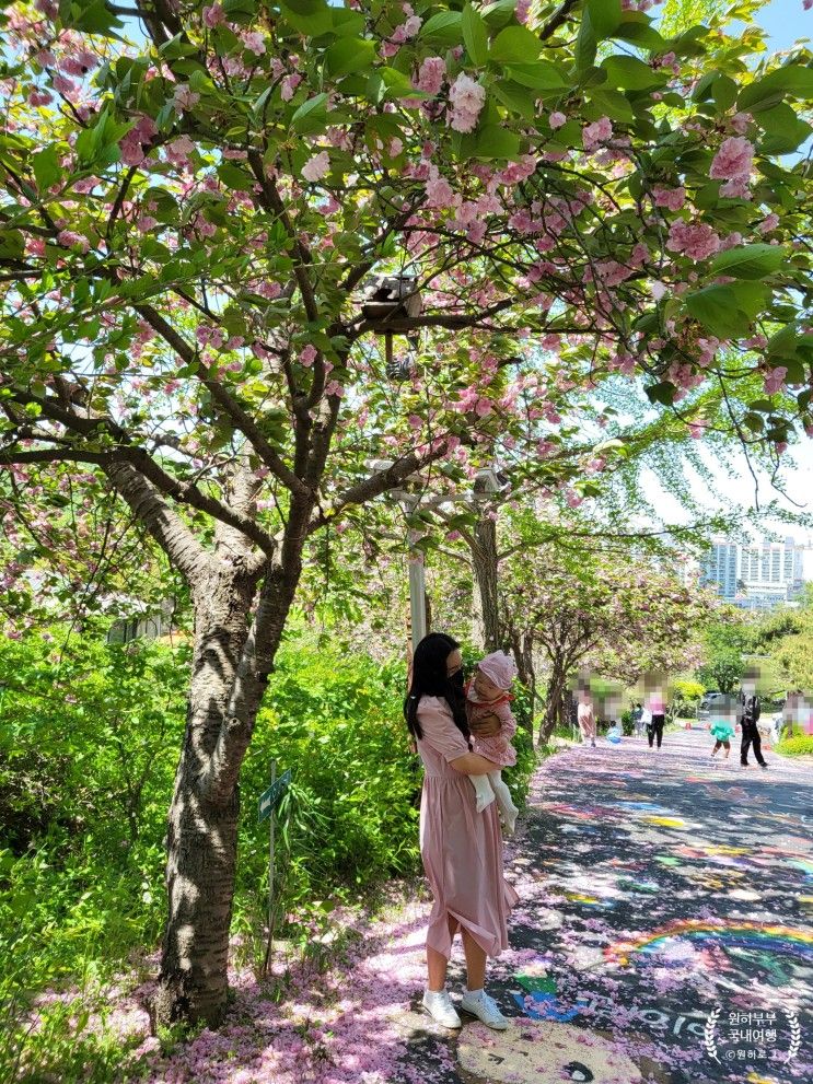 [아산여행] 아산 겹벚꽃, 아산 가볼만한곳, 아기랑 "당림미술관"