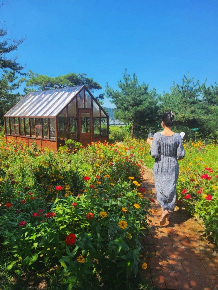 [Cafe]동화같은 감성 시간보내기 좋은 천안 카페 이숲