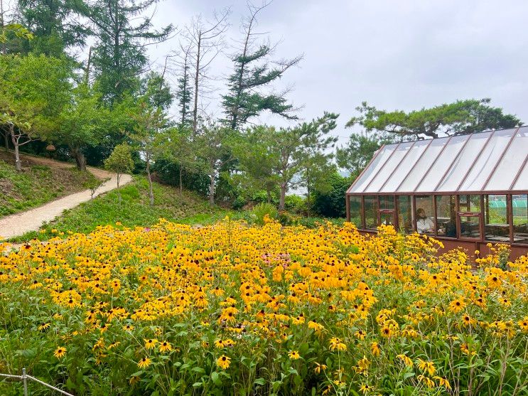 [충남/천안] 천안 성거카페 천안카페 이숲