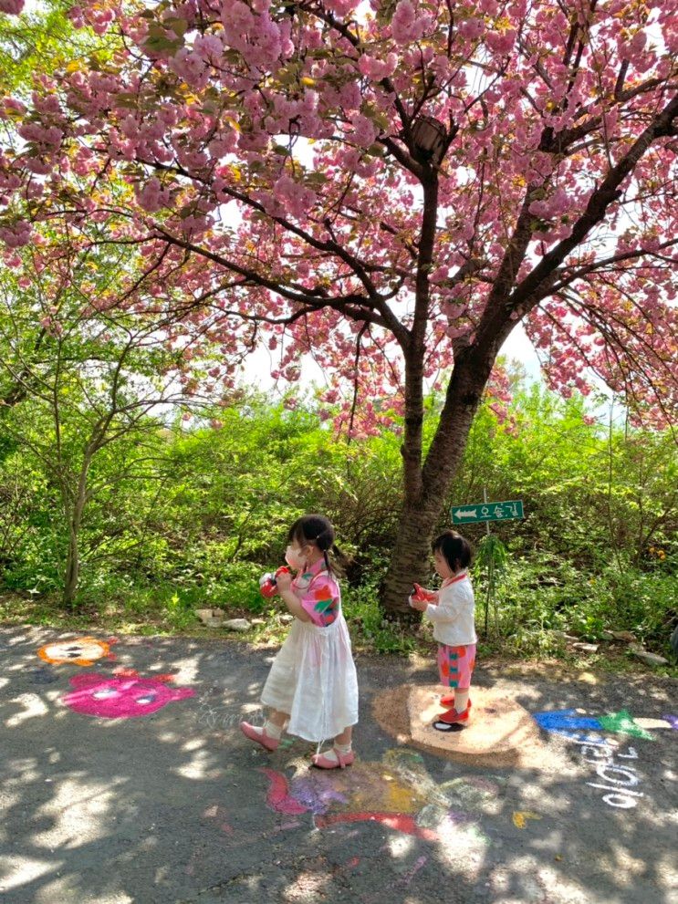 겹벚꽃명소, 아산 당림미술관