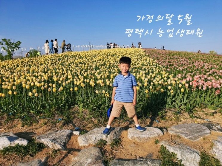 가정의달 5월 아이와 함께 가기 좋은 곳 《평택시 농업생태원 & 농업테마공원》