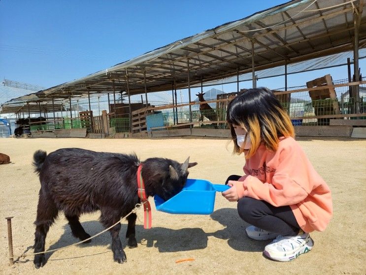 경기도 화성 아이와 가볼만한곳 농장체험학습 행복텃밭