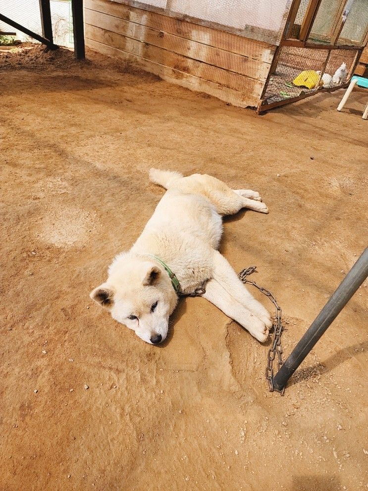 찬우물체험동물농장 / 삼남매랑놀기 / 일산나들이 / 주말삼남매와함께