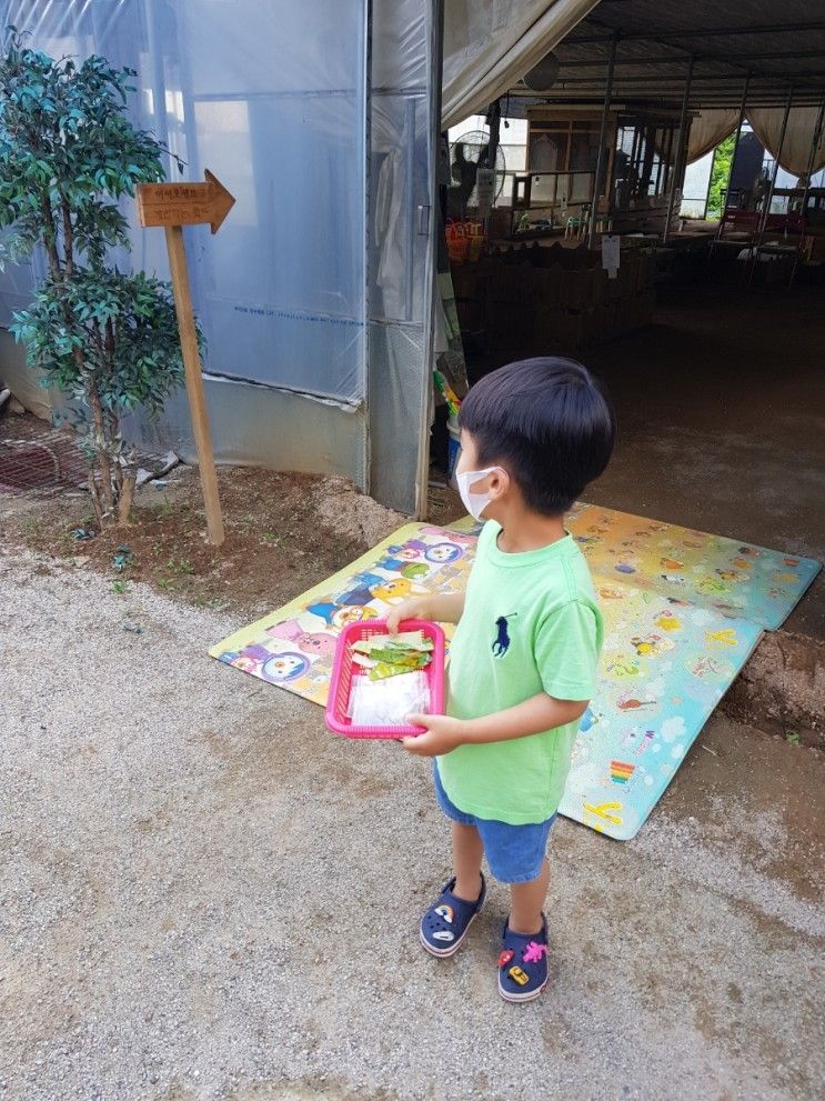 경기도 5살 아이랑 놀러갈만한 곳- 일산 찬우물 체험 동물농장