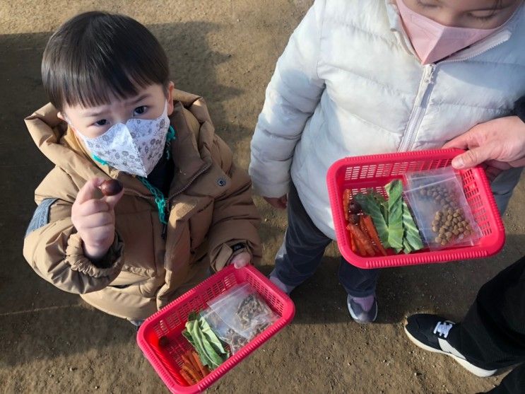 찬우물 아기동물원 / 서울근교 아이랑 가볼만한 곳, 동물 먹이주기체험