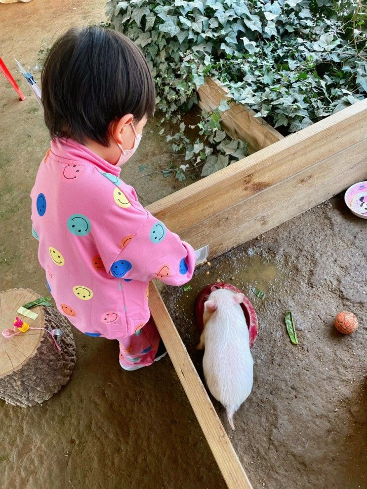 일산 아이랑나들이 찬우물체험동물농장