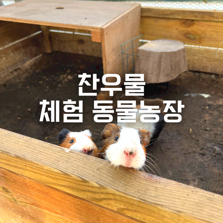 일산 아이와 가볼만한 곳 [찬우물 체험 동물농장]