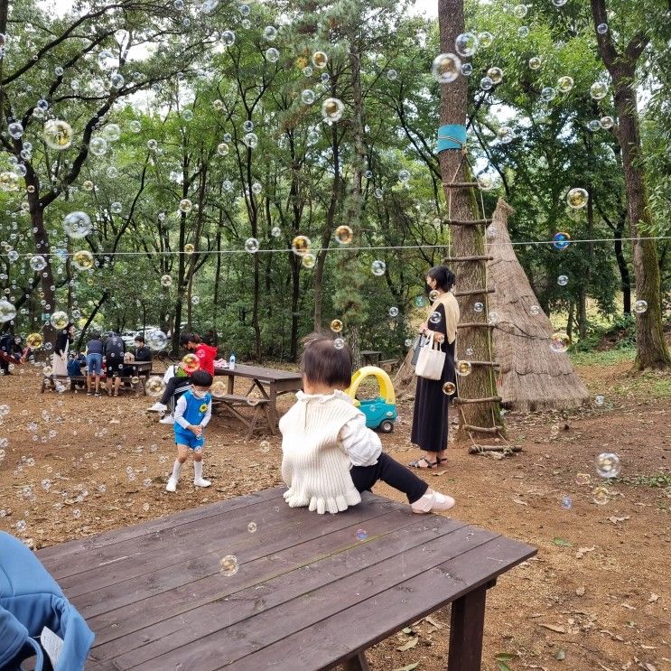 [아이랑 갈만한 곳]일산 찬우물체험농장 후기,서울 근교 숲놀이터 추천