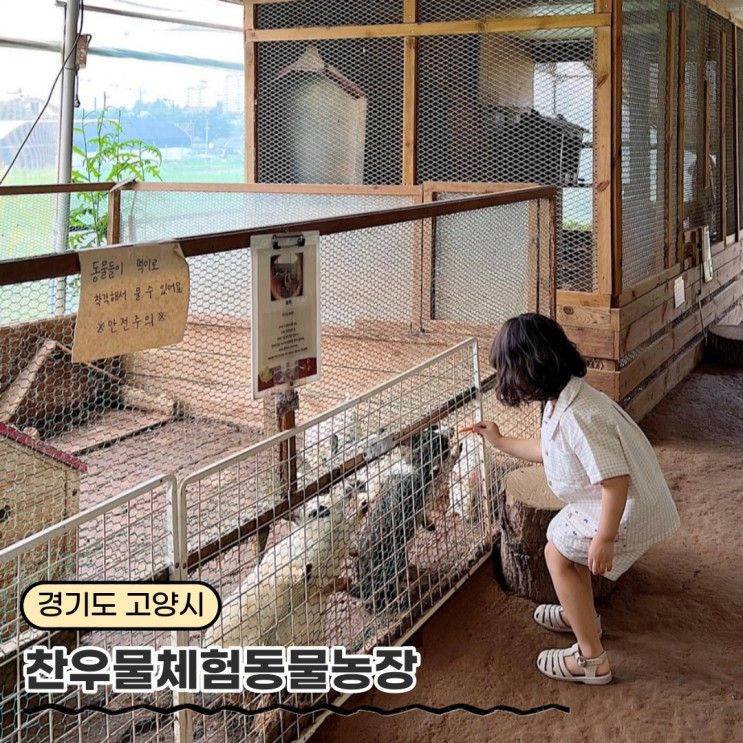 일산 찬우물체험동물농장 - 아기동물원 / 숲놀이터 / 먹이주기체험