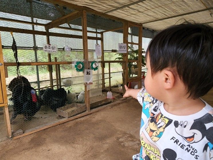 찬우물 아기동물원, 일산 아이랑 체험 동물농장