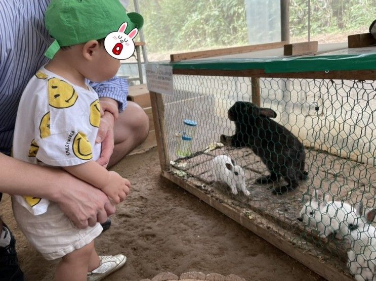 찬우물 아기동물원, 찬우물 체험 동물농장 체험, 일산 동물원, 아기랑 가기 좋은 곳, 일산 아기랑