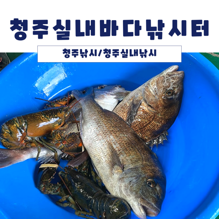 <청주낚시> 청주실내바다낚시터 / 바다낚시데이트를 청주에서!