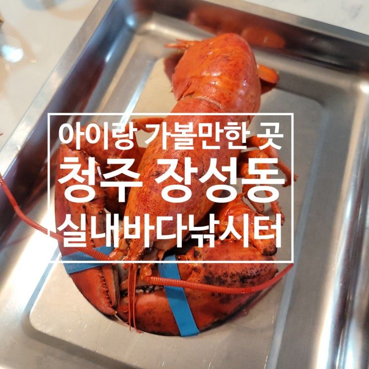 청주 장성동 실내바다낚시터 랍스터낚시 24시간 운영