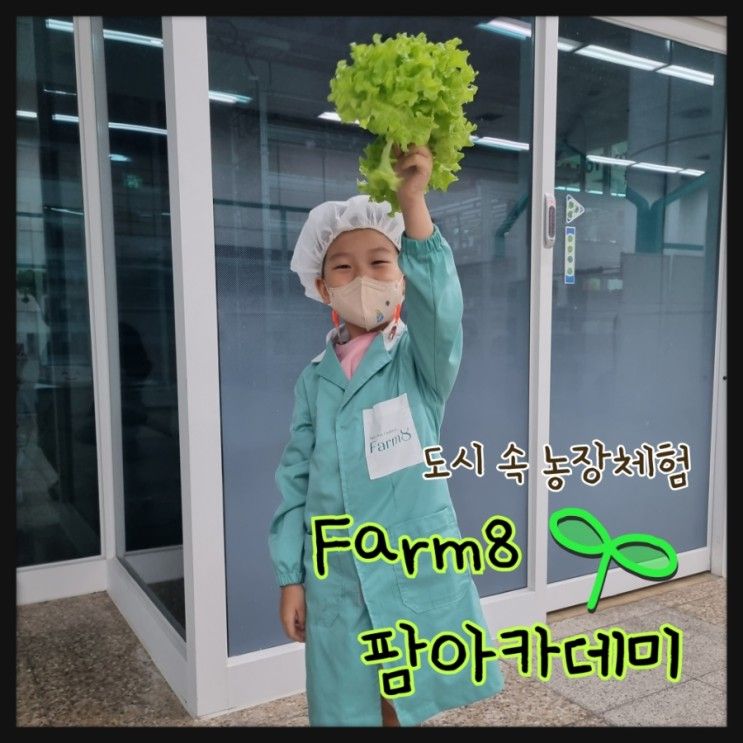 농장체험 메트로팜, 상도역 Farm8 팜아카데미(어린이체험 추천)