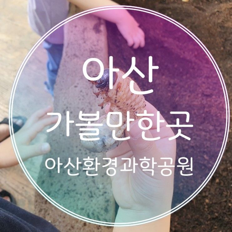 충남 아산 가볼만한 곳, 아산환경과학공원 장영실과학관, 생태곤충원, 아산그린타워