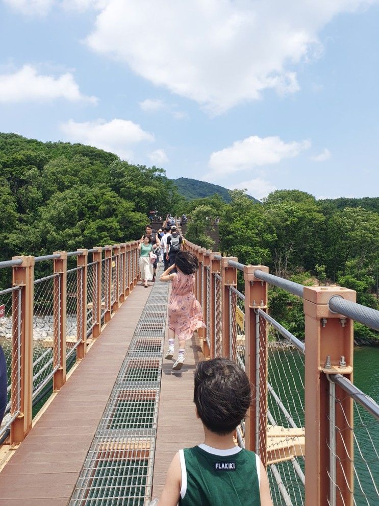 (파주 가볼만한곳) 마장호수 출렁다리 산책_철갑상어유원지...